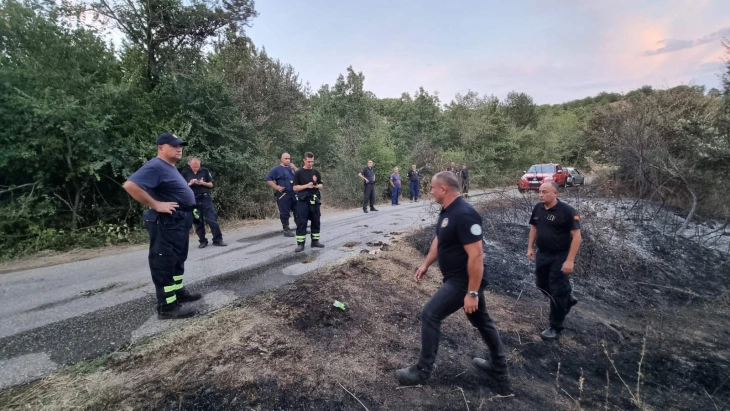 Изгаснат пожарот во близина на езерото Мантово