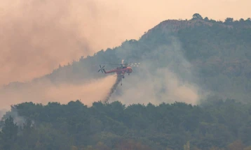 Шумски пожари во Грција: 18 јагленосани тела откриени на Еврос