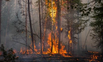 Поради шумските пожари прогласена највисока тревога во 16 градови на италијанскиот остров Елба