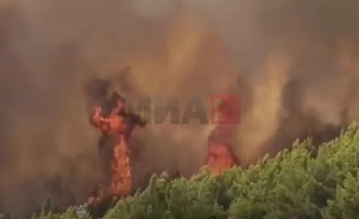 Një zjarr i madh në afërsi të kishës në qytetin shqiptar të Laçit, rrezikohen edhe shtëpi