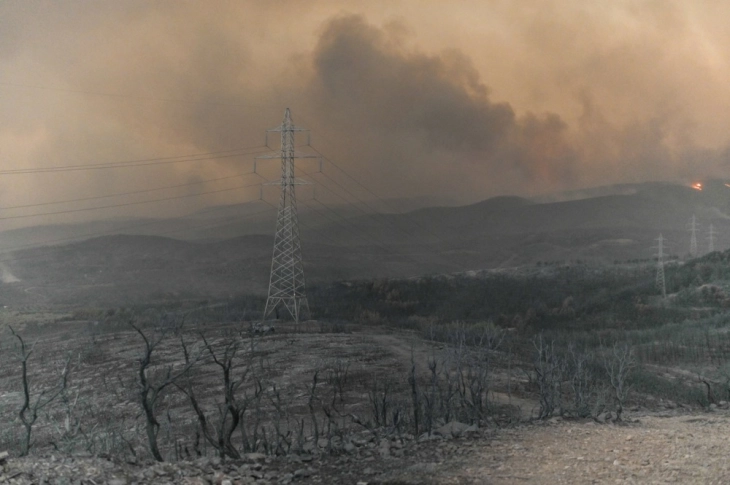 Zjarre pyjore dhe evakuime pranë Athinës dhe në provincën turke Çanakale