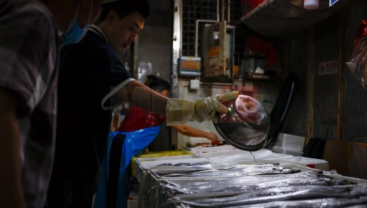 Јапонија тврди дека нема радиоактивност во рибите во водите кај Фукушима
