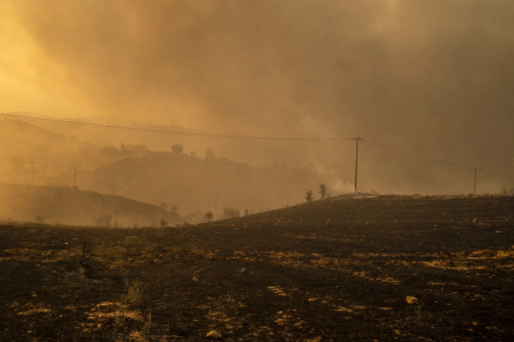 Forest fires in Greece continue to burn out of control