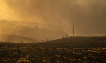 Forest fires in Greece continue to burn out of control