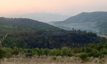 ЦУК: Воспоставена делумна контрола на пожарот во Зелениково