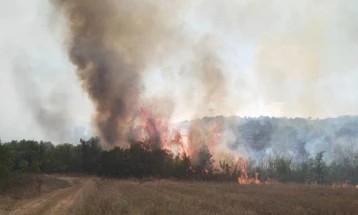 Пожар во атарот на селата Руѓинце и Бељаковце во општина Старо Нагоричане