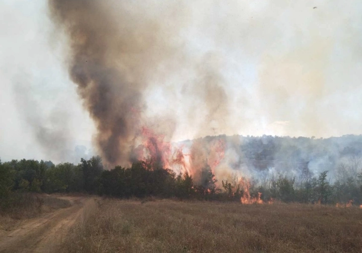 Zjarr afër fshatrave Rugjincë dhe Belakovc në Nagoriçan të Vjetër