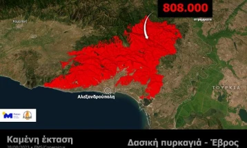 Веќе 11 дена активен е пожарот кај Еврос, изгорени над 80.000 хектари 