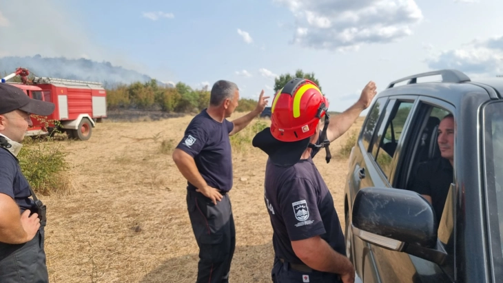 Пожарот меѓу Богданци и Дојран ставен под контрола