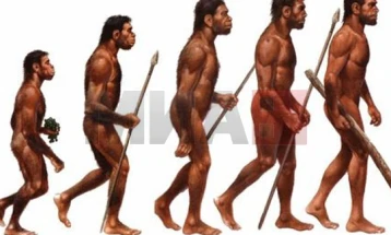 Човековите предци пред 900.000 години биле пред исчезнување