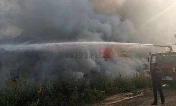 ДИЖС: МВР води истрага за причините за пожарот во Дрисла