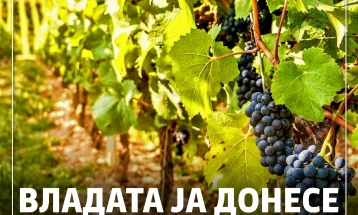Qeveria e miratoi Strategjinë nacionale për vreshtari dhe verëra për konkurrencë të rritur në tregje