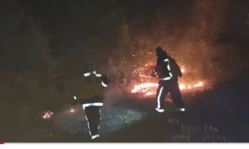 ЦУК: Изгаснат пожарот кај Бељаковце