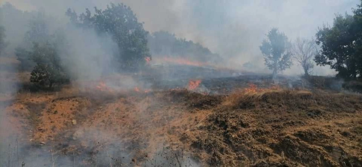 Силен пожар во село Латово во Македонски Брод