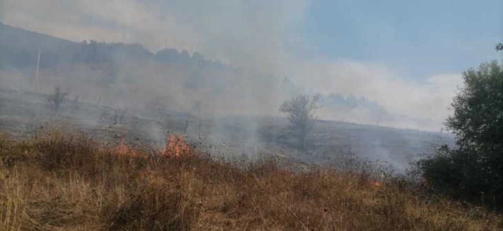 Локализиран пожарот во село Латово во Македонски Брод