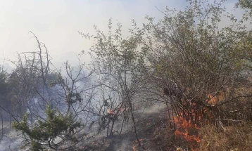 ЦУК: Нема опасност од пожарот по манастирот и селото Зрзе, ниту по селото Кошино