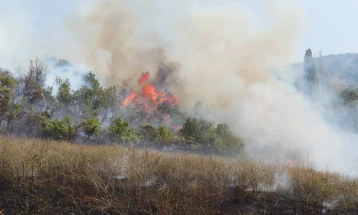 Активен пожарот во Бељаковце, кумановско