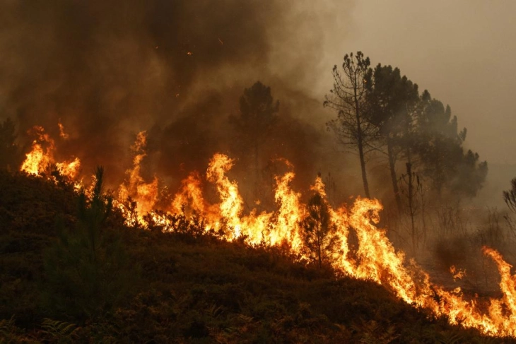 ЦУК: Поради засилен ветер пожар се шири кон повисоките делови на сртот кон Општина Долнени