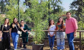 Со бамбуси и егзотични треви се разубави живеалиштето на тигарот во ЗОО Скопје