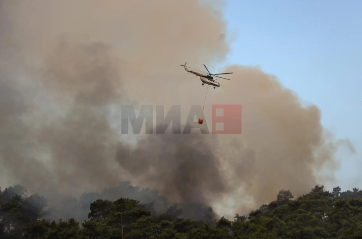 Tre persona humbën jetën në një aksident helikopteri në Turqi gjatë shuarjes së zjarrit