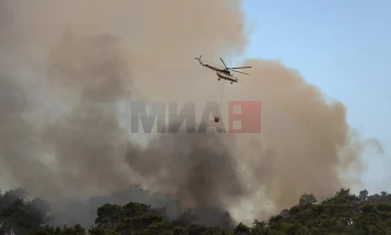 Tre persona humbën jetën në një aksident helikopteri në Turqi gjatë shuarjes së zjarrit