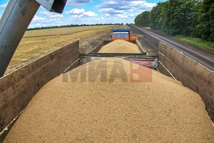 Украина бара дипломатско решение со Полска и Словачка за извозот на жито