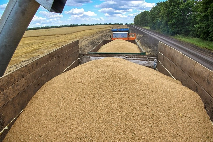 Ukraine demands consultations with neighbours over grain imports