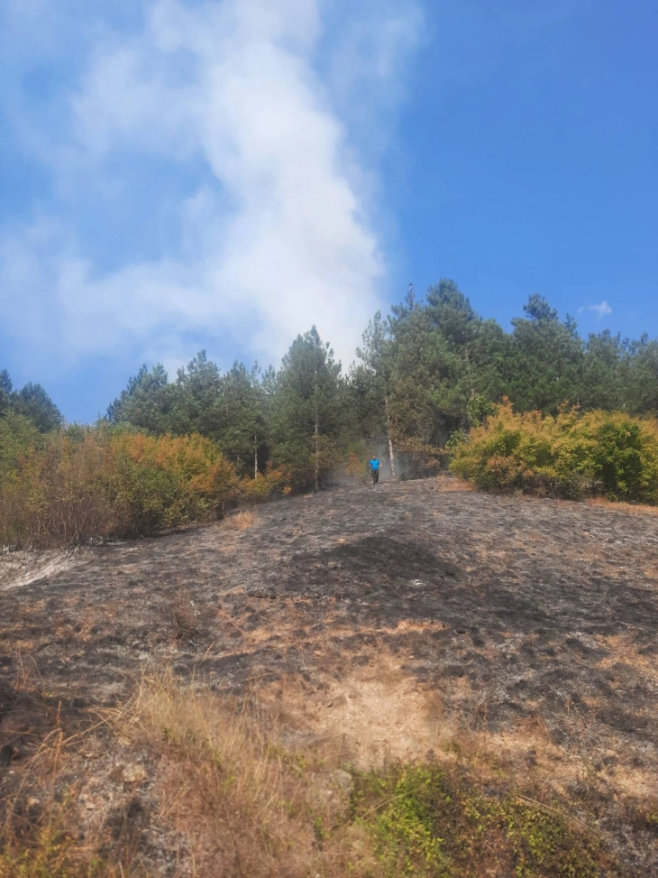 Гори борова шума во Тетовско, се гаси и од земја и од воздух
