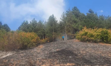 Изгаснат пожарот на Сува Гора каде гореше борова шума