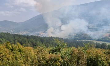Втор ден пожарот на боровата шума во Тетовско покрај пожарникарите се гасне и со воздухопловна поддршка