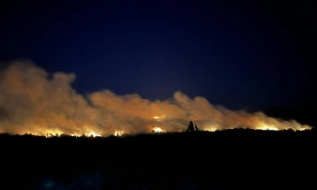 Десет пожари во Кумановско
