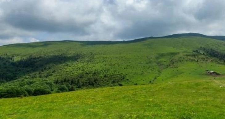 Ограничено движење поради боево гаѓање во Пехчево