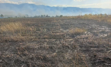 Голем пожар на отворено кај Струмица, гори површина од околу 20 хектари во должина од 3 километри