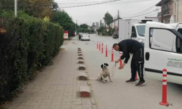 Општина Илинден со активности за решвање на проблемот со бездомни кучиња