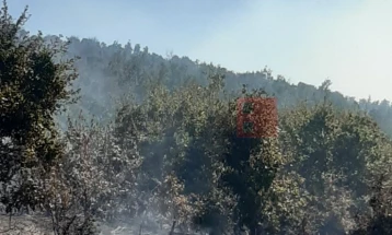 Голем пожар во атарот на штипското село Калапетровци