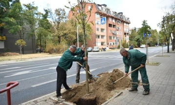 Акција за засадување дрвја на над 100 локации во Скопје