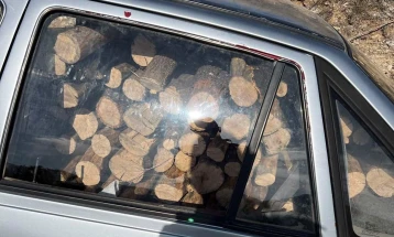 Во охридско-струшкиот крај лани и годинава откриена нелегална сеча на 235 кубни метри дрво, поднесени 15 пријави