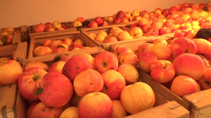 Serbia imported nearly 24 tons of apples from North Macedonia in 2022