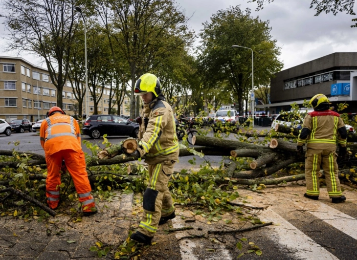 Woman killed by falling tree as strong storm hits central Germany