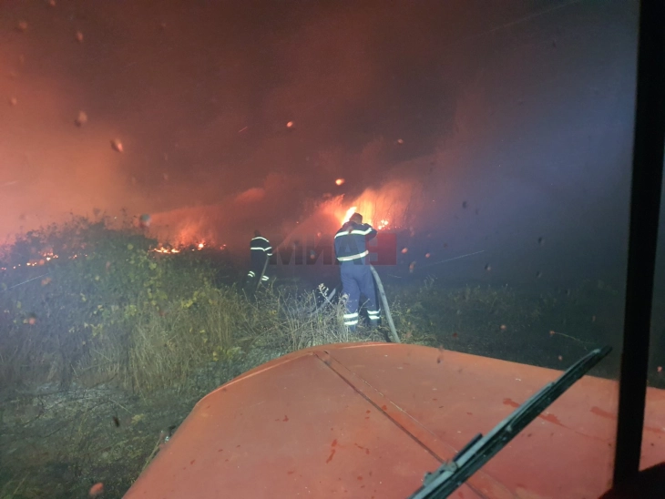 Përhapet zjarri në afërsi të Dubrovës në Negotinë, e shuajnë zjarrfikësit nga Negotina dhe Kavadari