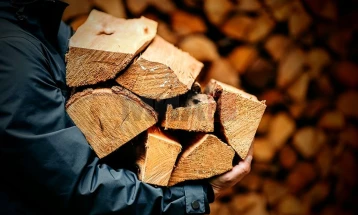 Груевски: Околу триесетина илјади кубни метри дрва годишно се сечат на диво, огревни дрва ќе има доволно