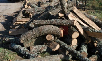Кривична пријава против три лица од радовишко за повеќе кривични дела за бесправна сеча на дрва