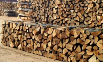 Зголемено производството на шумски производи во државните шуми