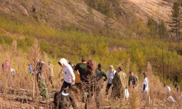Над 15.000 садници пошумени во делчевското село Стар Истевник