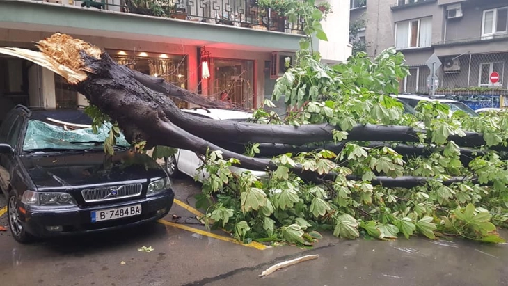 Early winter storms cause disruption, leave two dead in Bulgaria