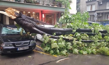 Early winter storms cause disruption, leave two dead in Bulgaria