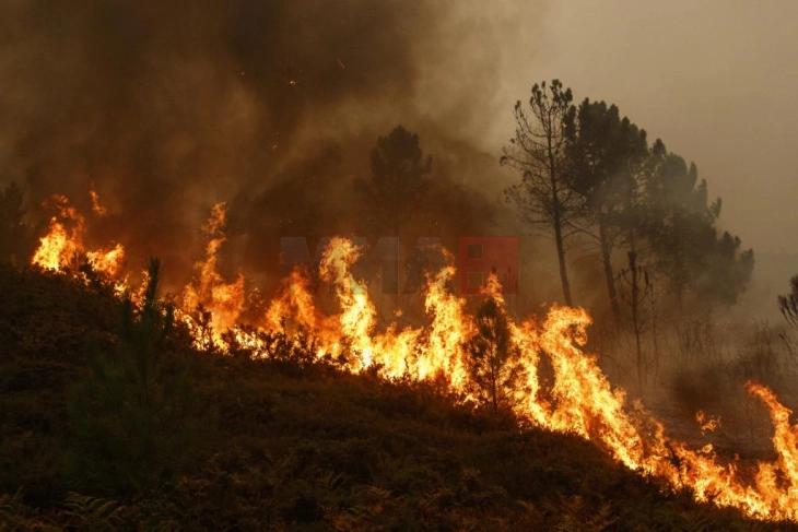 Пожар кај велешката населба Дурутовец, се шири кон село Чолошево