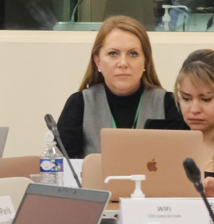 Пратеничката Фаница Николоска на седница на Комисијата за култура, наука, образование и медиуми на ПССЕ