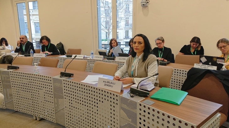 Арта Биљали-Зендели на седница на Комисијата за еднаквост и недискриминација на ПССЕ во Париз