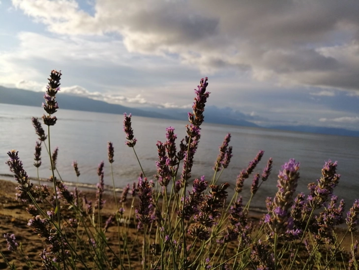 Mot i ndryshueshëm me vranësira erë të lehtë jugore